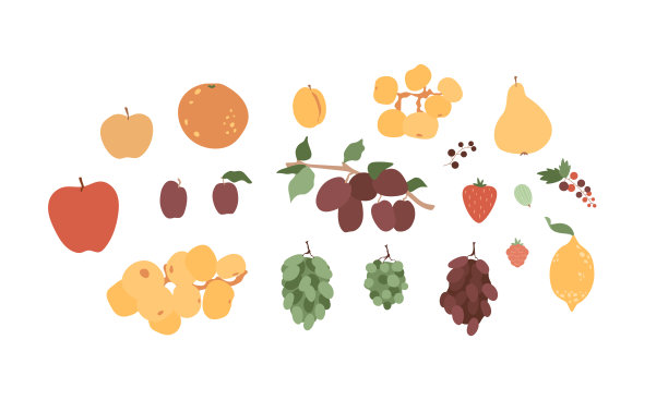 一套多汁的水果和浆果。新鲜、香甜的食材。矢量插图。图片下载
