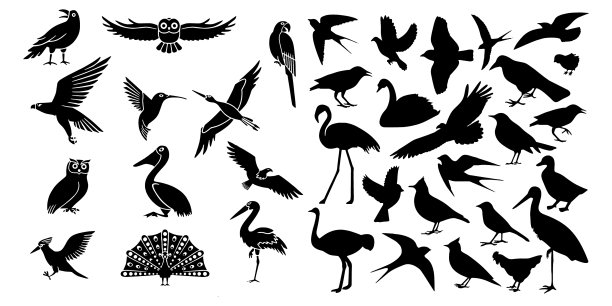 鸟类图标设置白色背景图片下载