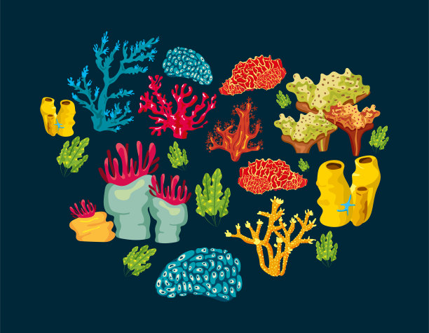 蓝色背景的珊瑚海洋生物自然模式图片下载
