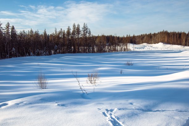 背景与一个美丽的冬天森林在一个晴朗的日子。雪地里长长的树影是为了躲避耀眼的阳光。图片下载