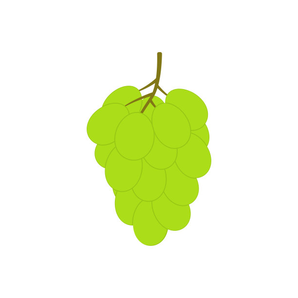 葡萄图标。一些葡萄。矢量插图。图片下载