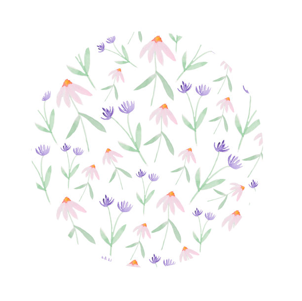 水彩圆形背景干花，洋甘菊，矢车菊。背景文本。明信片,邀请。春天，夏天，浪漫心情图片下载