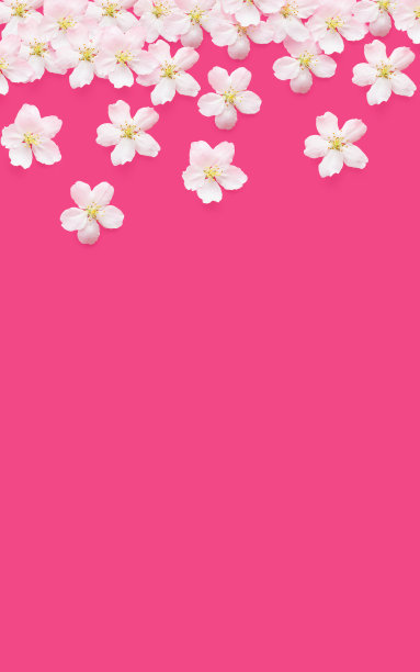 春天的概念、节日、生日、妇女节图片下载