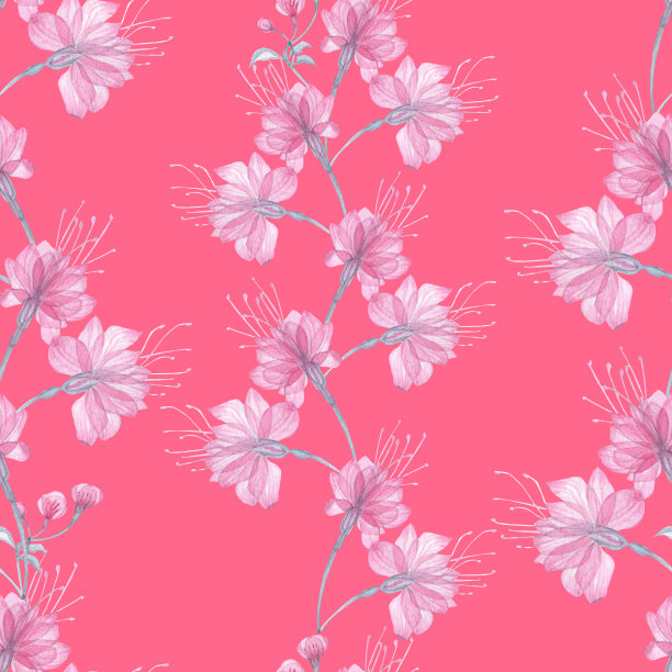 无缝透明的花图片下载