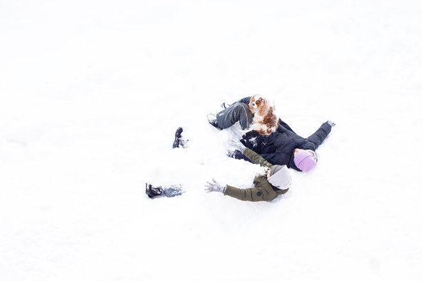 女孩，男孩，孩子和狗在户外玩，冬天下雪的日子，家庭时间，姐姐和弟弟玩天使在温暖的衣服。俯视图图片下载