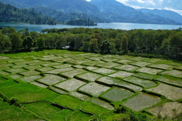 Gayo Land的魅力图片下载