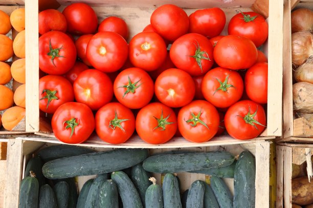 地中海的果实图片下载