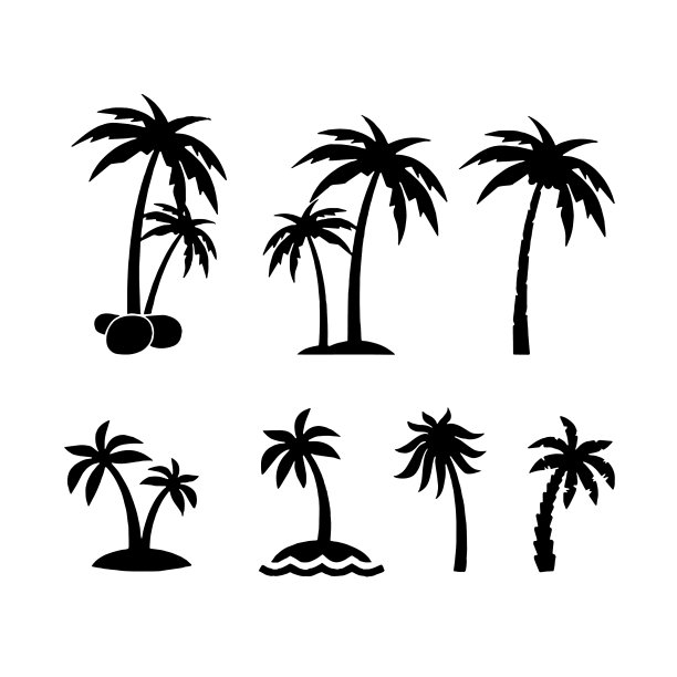 棕榈树热带设置图标上的白色背景图片下载