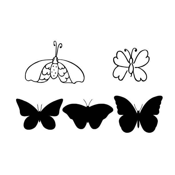 将蝴蝶隔离在白色上图片下载