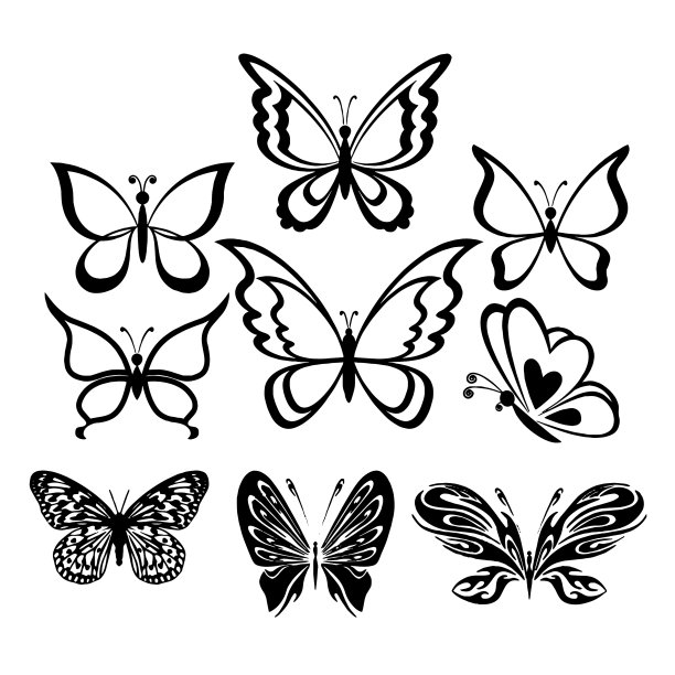 将蝴蝶隔离在白色上图片下载