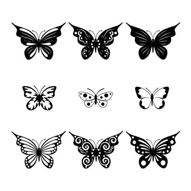 将蝴蝶隔离在白色上图片下载