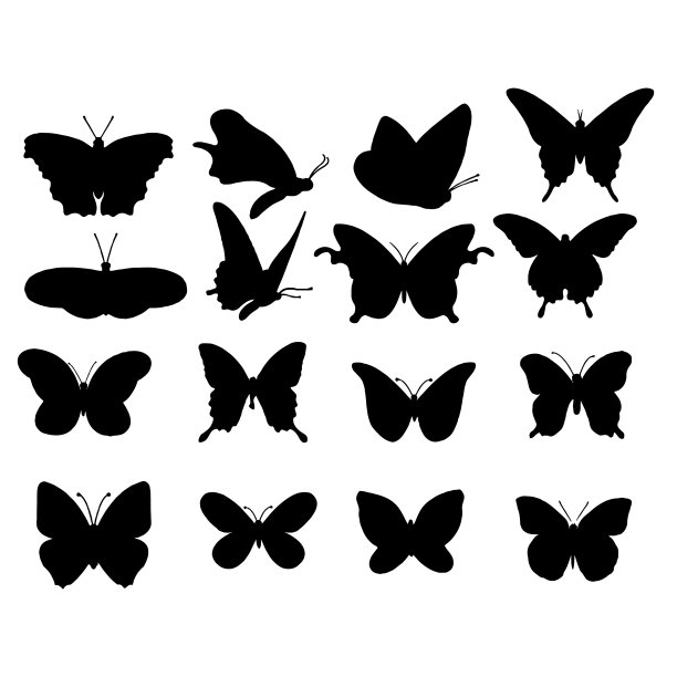 将蝴蝶隔离在白色上图片下载