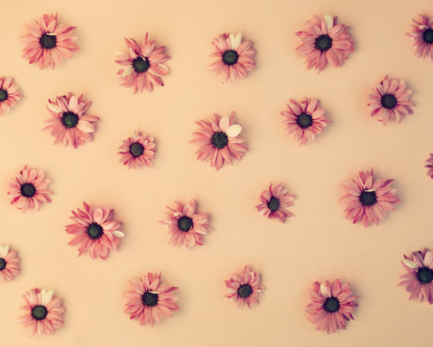 花朵图案图片下载