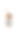 抽象的、平衡的、几何的、极简的自然物体组成——蓬松的蒲公英，热带的大种子，鹅卵石和玻璃在白色的背景上图片下载