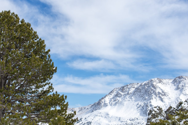 冬天的雪山。山和松树覆盖着雪图片下载