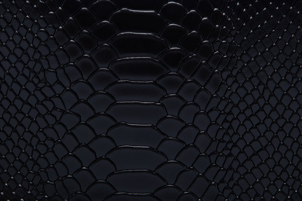 皮革的背景图片下载