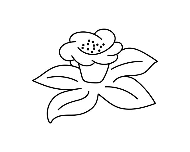 轮廓水仙孤立在白色着色图片下载