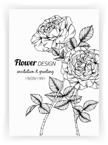 贺卡与玫瑰花和叶的手图片下载