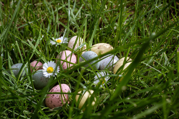 草地上有复活节彩蛋和雏菊图片下载