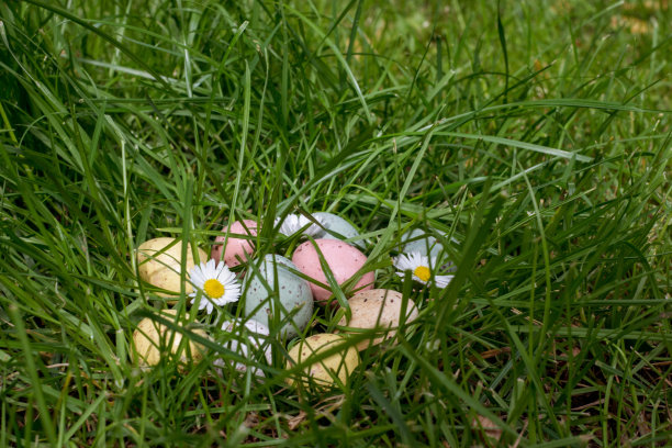 草地上有复活节彩蛋和雏菊图片下载