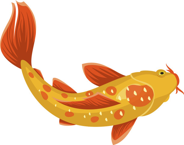 日本光洋鱼是水亮丽的象征图片下载