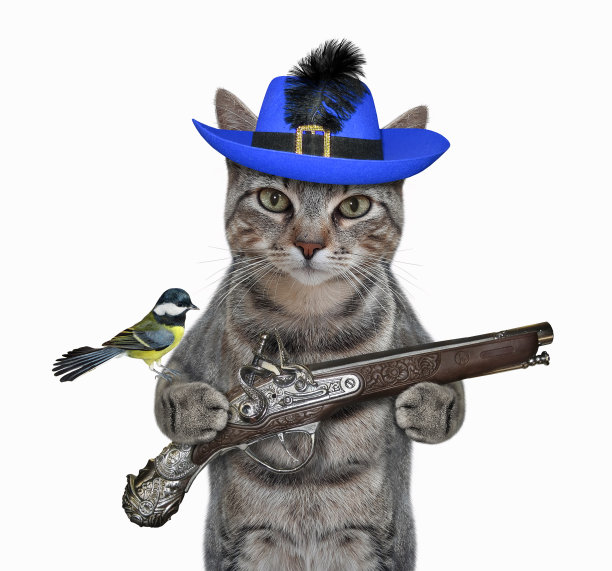 戴着蓝帽子的猫灰拿着一把旧手枪图片下载