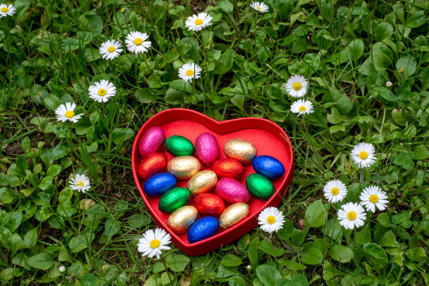 草地上一个心形盒子里的巧克力图片下载