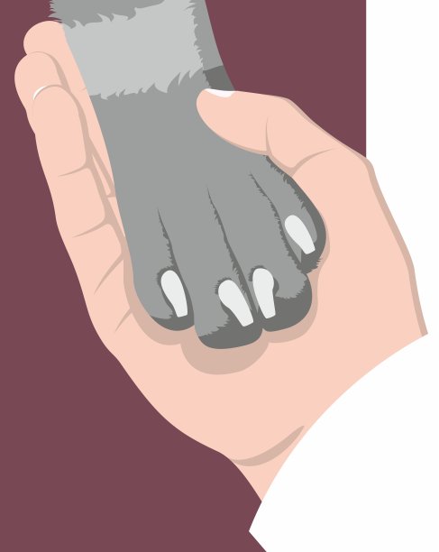 一只手轻轻地握住一只狗的爪子放在深红色的背景上。爱狗的象征。动物保护团体。矢量平面设计。图片下载