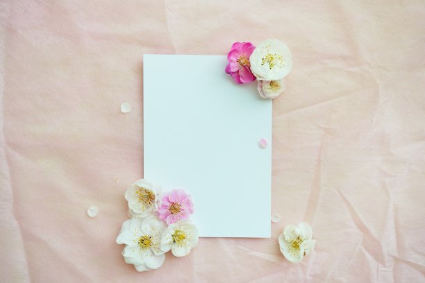 模型的一个长方形空白卡装饰与新鲜的梅花在粉红色的背景，放置垂直图片下载