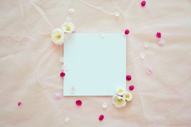 模型的方形白色卡装饰白色梅花在粉红色无纺布上图片下载