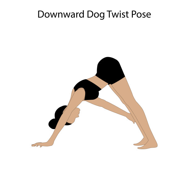 下犬扭转姿势瑜伽锻炼。健康生活方式矢量图图片下载