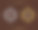 皇家徽章V字标志设计。图片下载