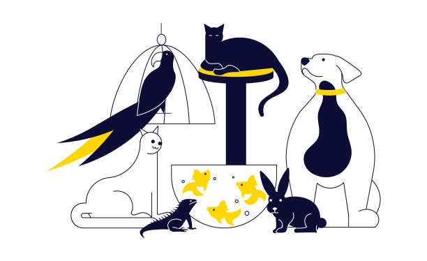 一群宠物隔离在白色图片下载