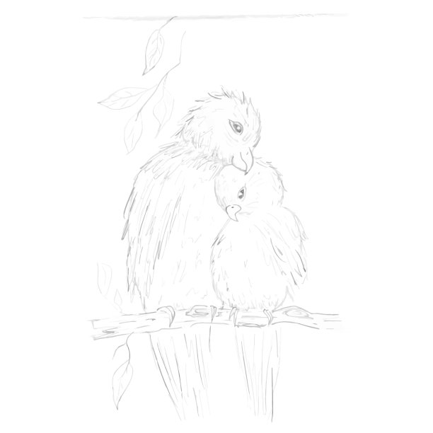 爱情图片的一对鹦鹉或鸟在树枝与树叶的阴影灰色矢量插图图片下载