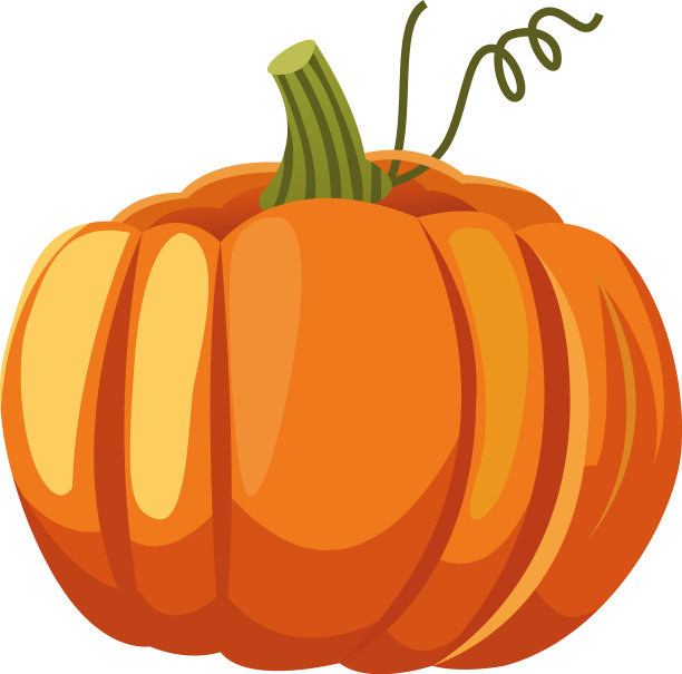 孤立南瓜果设计图片下载