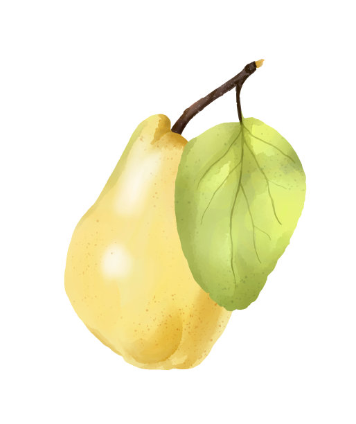 熟透整梨的水彩画图片下载