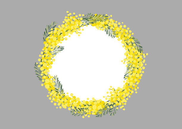 含羞草的背景图片下载