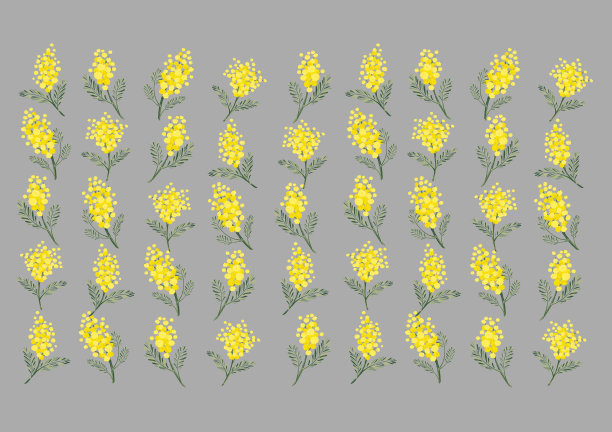 含羞草的背景图片下载