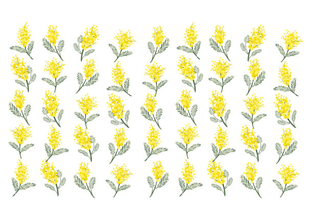 含羞草的背景图片下载