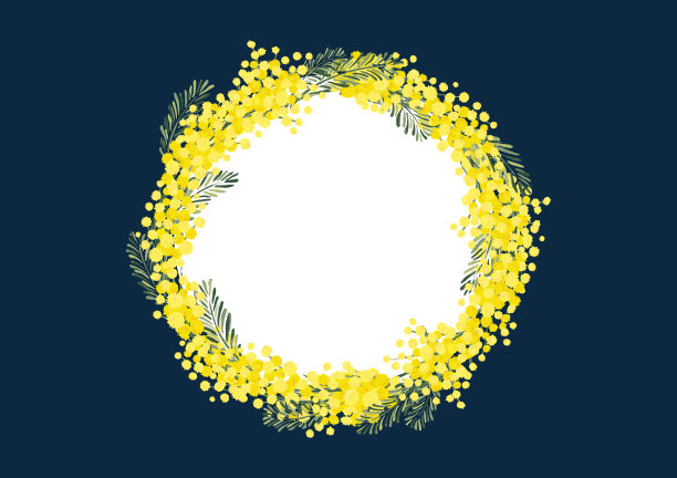 含羞草的背景图片下载