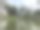 奈瓦沙湖和周围的植物群图片下载