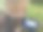 橡胶树轻叩，树液滴落洁白干净图片下载