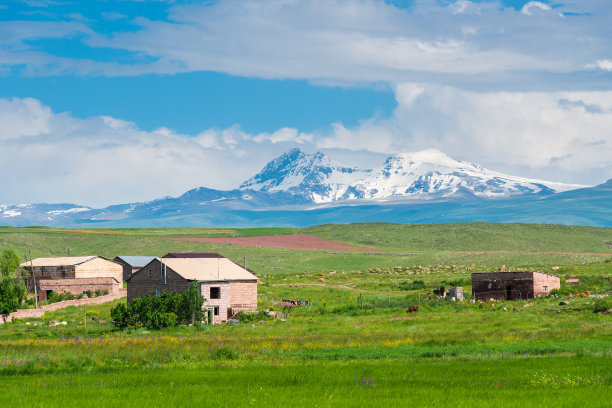 亚美尼亚田野中的房屋，背景是美丽的雪山图片下载