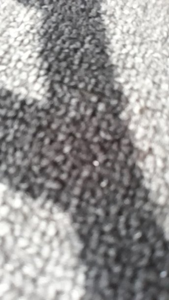 模糊的背景图片下载