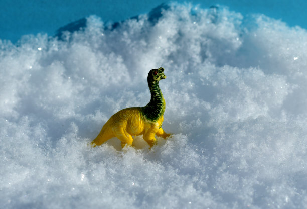 雪地里一个黄色的小恐龙玩具的特写镜头。图片下载