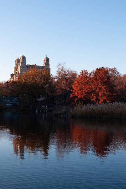 纽约中央公园的海龟池塘，秋天的傍晚，有五颜六色的树图片下载
