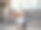 玩具狮子狗坐在户外肖像图片下载