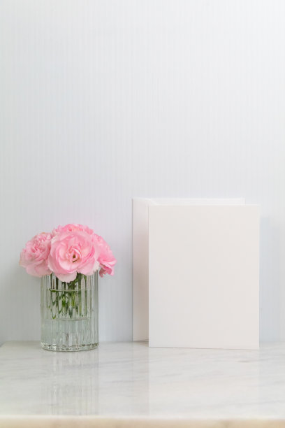 白色卡片模型与粉红色的花大理石人像复制空间图片下载