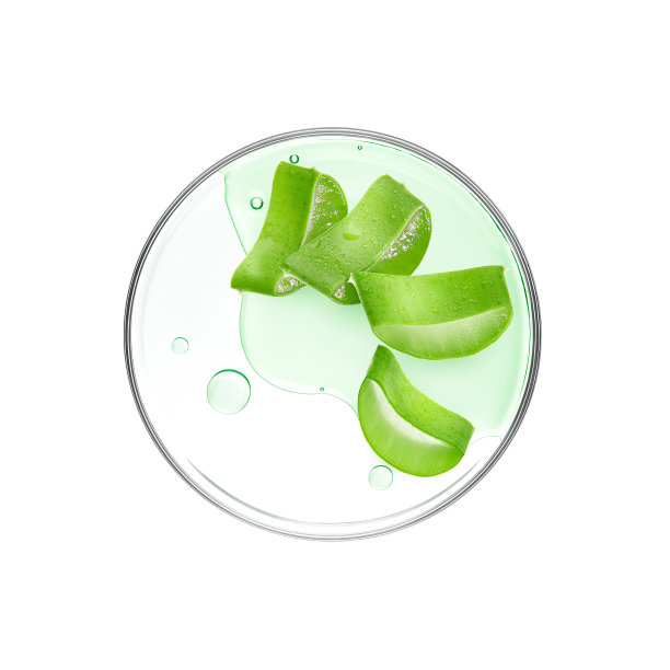 芦荟精华素片置于培养皿上，白色背景图片下载