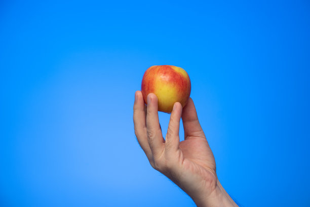新鲜成熟的红黄苹果由白人男性手牵着手在蓝色背景的摄影棚拍摄图片下载